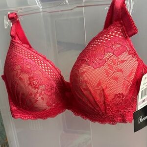 Paramour Scarlet Lace Bra